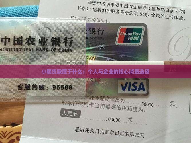 小额贷款属于什么