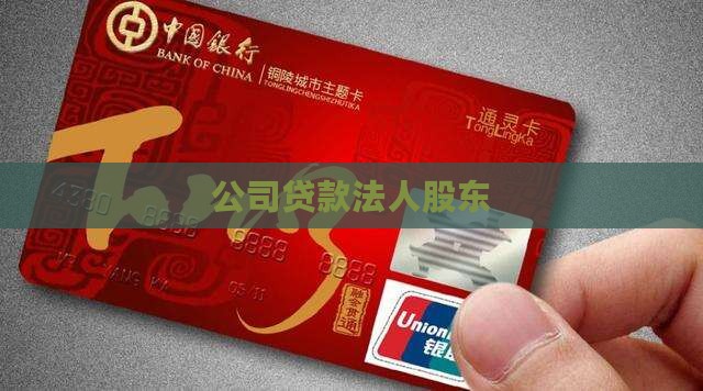 公司贷款法人股东