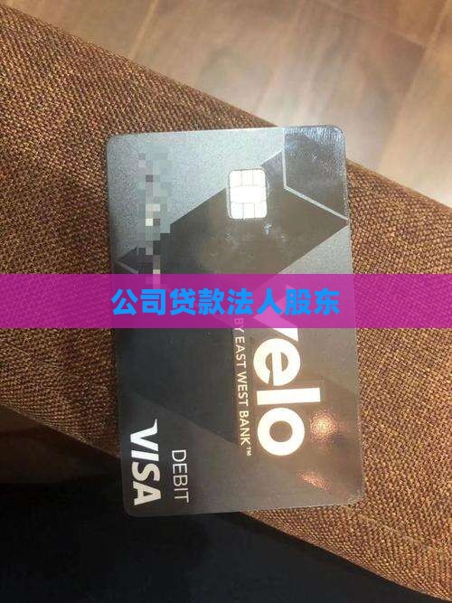 公司贷款法人股东