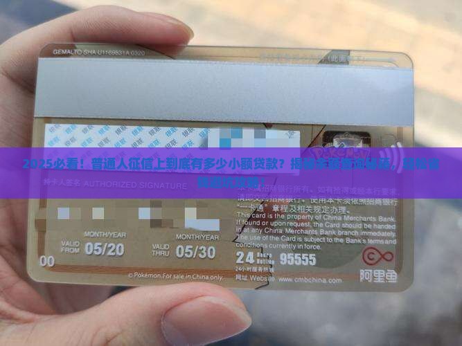 征信小额贷款发放和余额