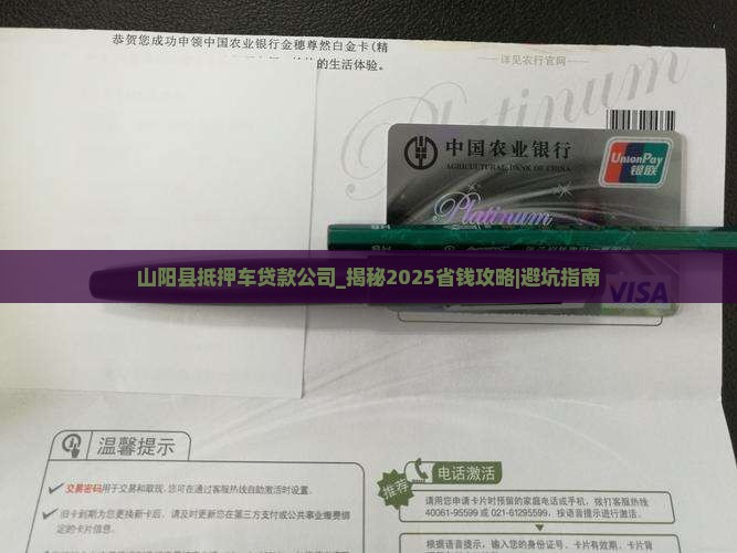 山阳县抵押车贷款公司