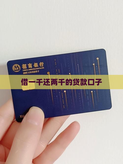 借一千还两千的贷款口子