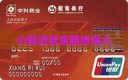 小额贷款逾期担保人