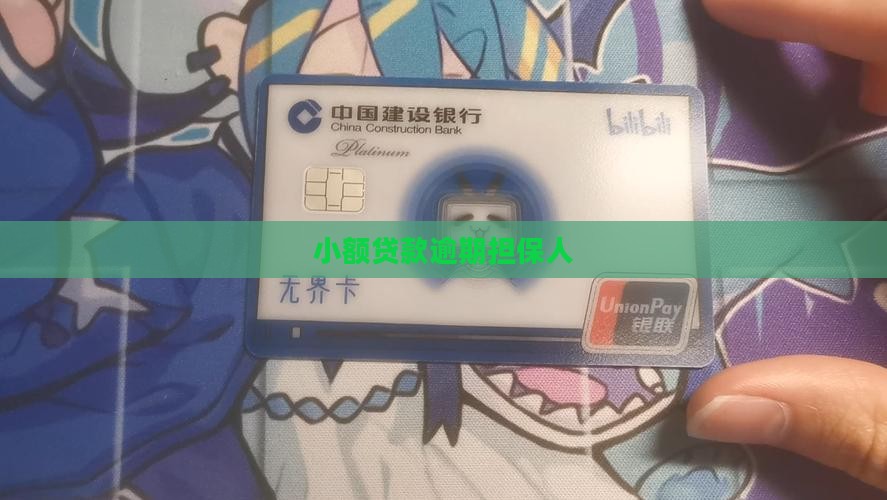 小额贷款逾期担保人