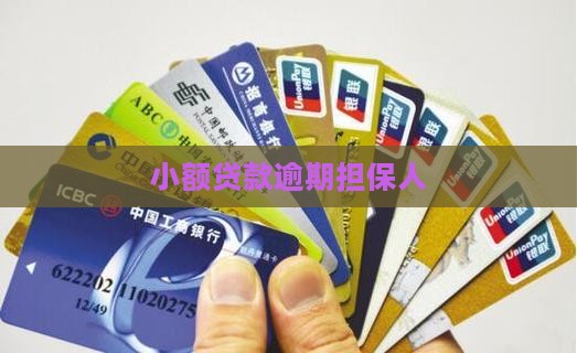 小额贷款逾期担保人