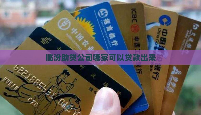 临汾助贷公司哪家可以贷款出来