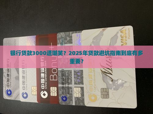 银行贷款3000遭嘲笑