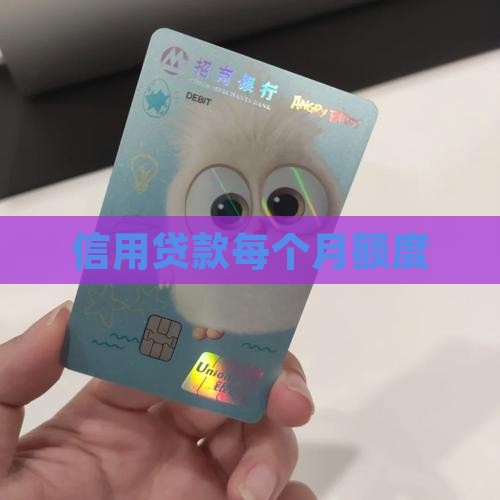 信用贷款每个月额度