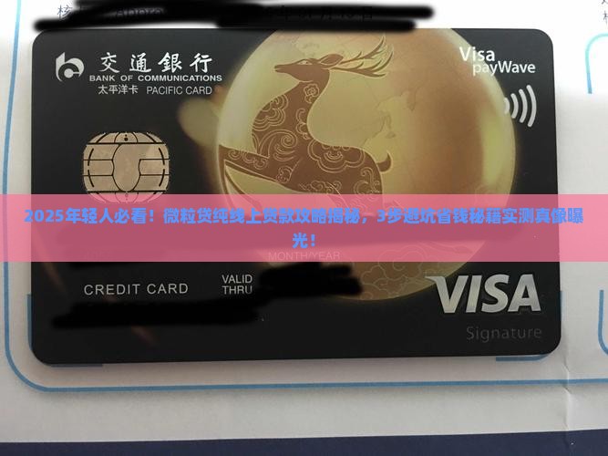 微粒贷纯线上贷款