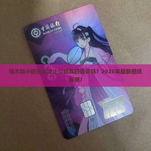 佳木斯小额贷款终止公司