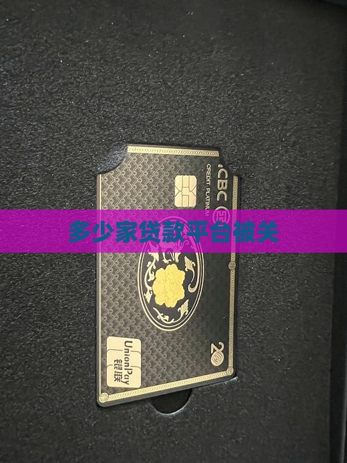 多少家贷款平台被关