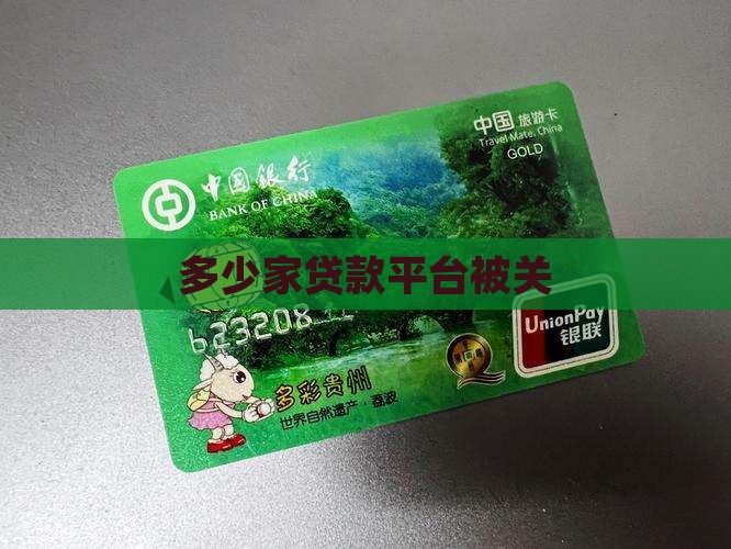 多少家贷款平台被关