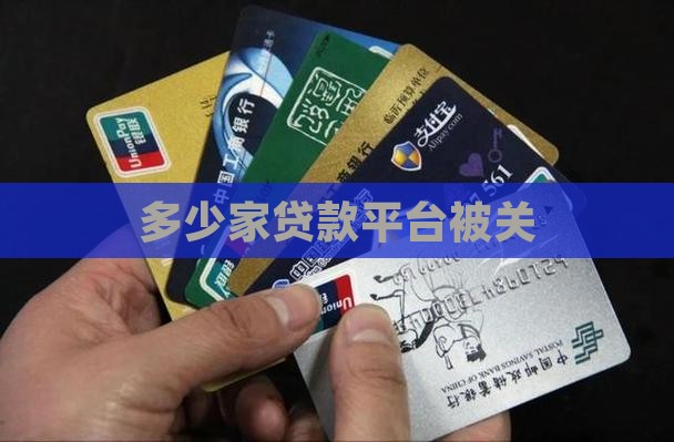 多少家贷款平台被关