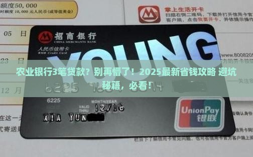 农业银行3笔贷款