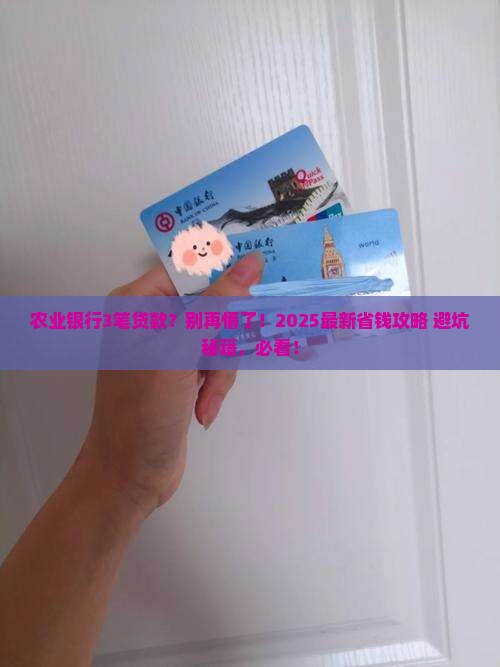 农业银行3笔贷款