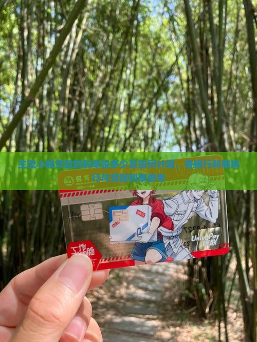 主流小额贷款的利率