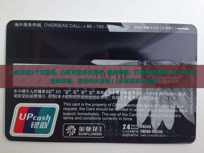 小额贷款2个字起名