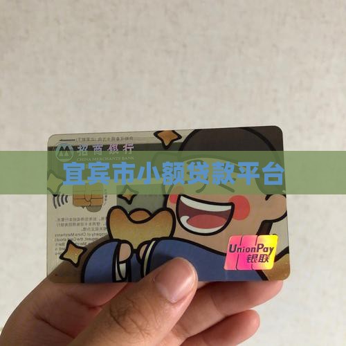 宜宾市小额贷款平台