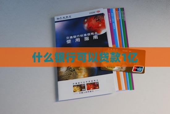 什么银行可以贷款1亿