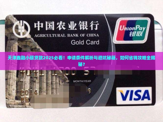 天津鑫融小额贷款