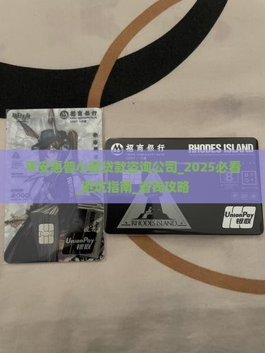 平安惠普小额贷款咨询公司