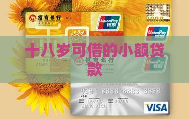 十八岁可借的小额贷款