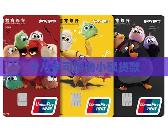十八岁可借的小额贷款