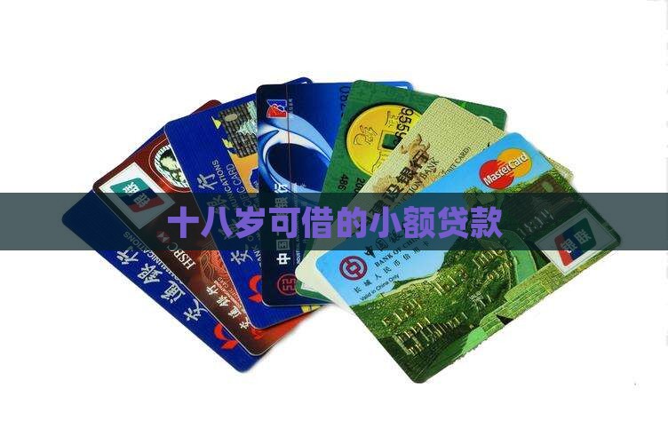 十八岁可借的小额贷款