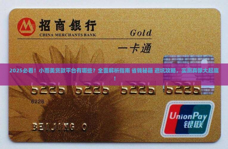 小而美贷款平台有哪些