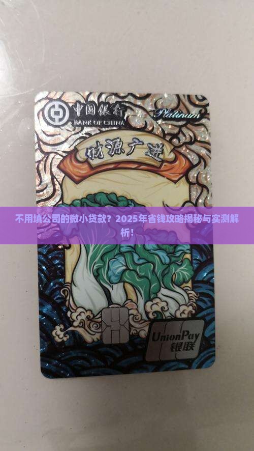 不用填公司的微小贷款