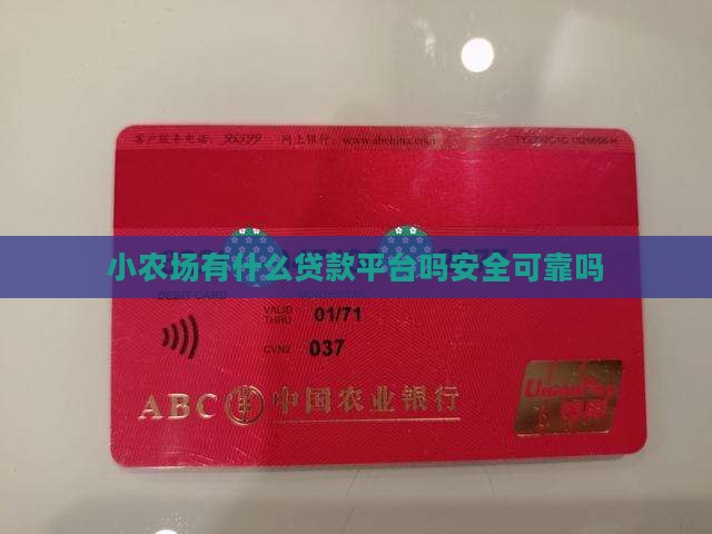 小农场有什么贷款平台吗