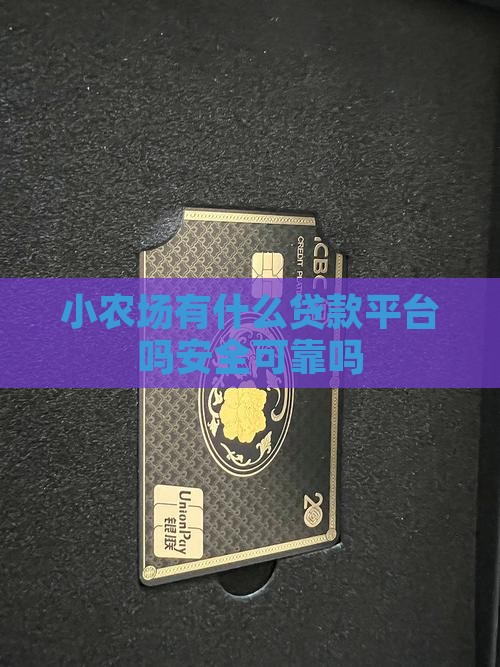 小农场有什么贷款平台吗