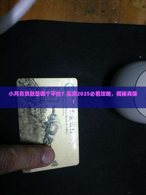 小月亮贷款是哪个平台