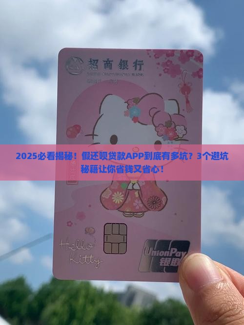假还呗贷款APP