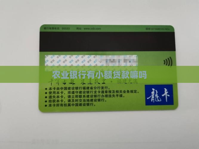 农业银行有小额贷款嘛吗