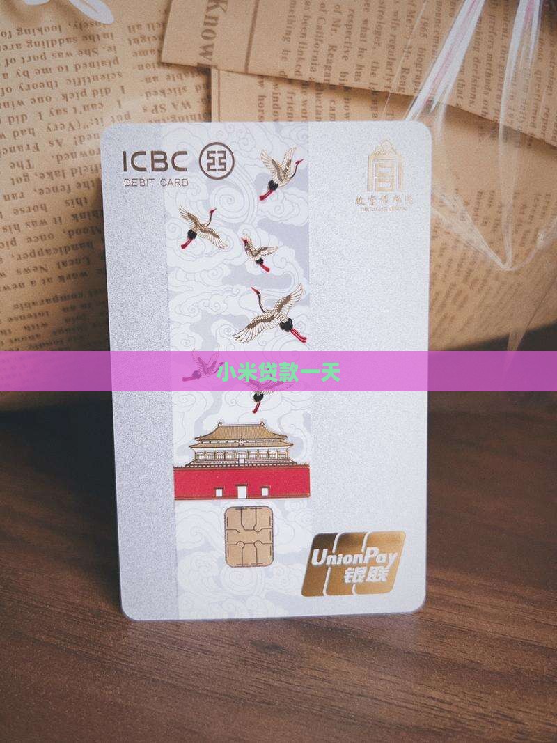 小米贷款一天