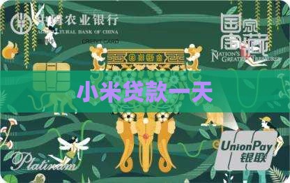小米贷款一天