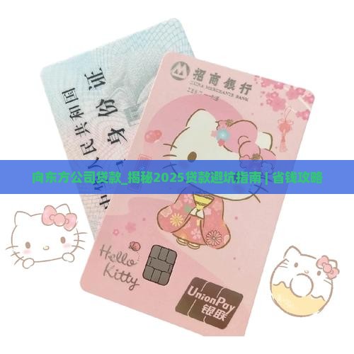 向东方公司贷款
