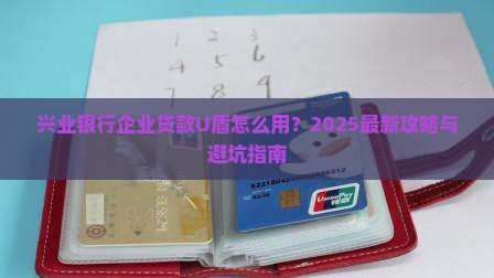 兴业银行企业贷款u盾