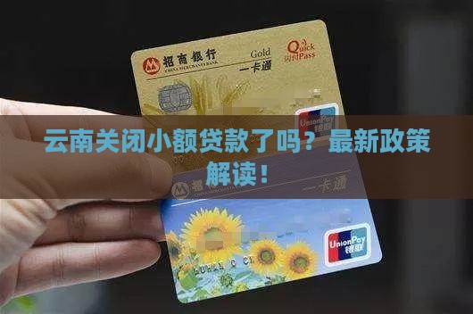 云南关闭小额贷款了吗