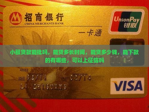 小额贷款能批吗