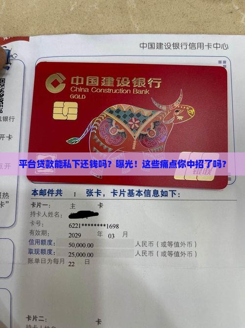 平台贷款能私下还钱吗