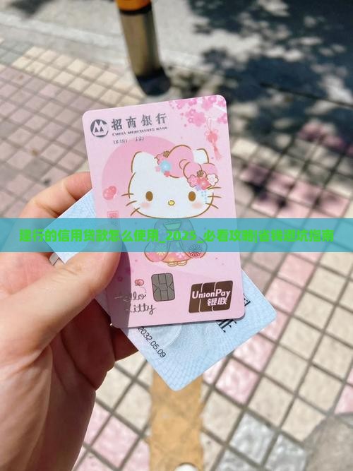 建行的信用贷款怎么使用