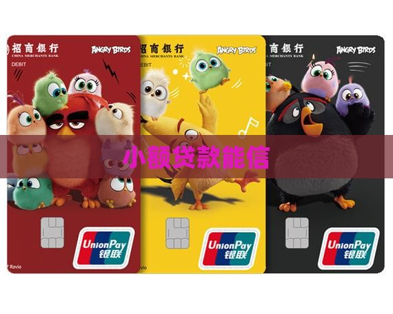 小额贷款能信