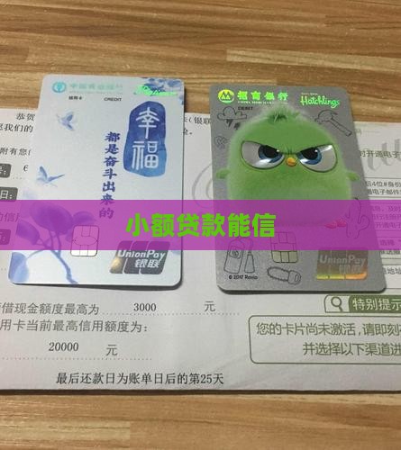 小额贷款能信