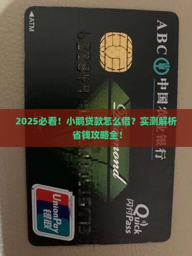 在哪能贷小鹅贷款的钱