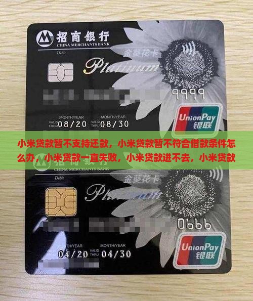 小米贷款暂不