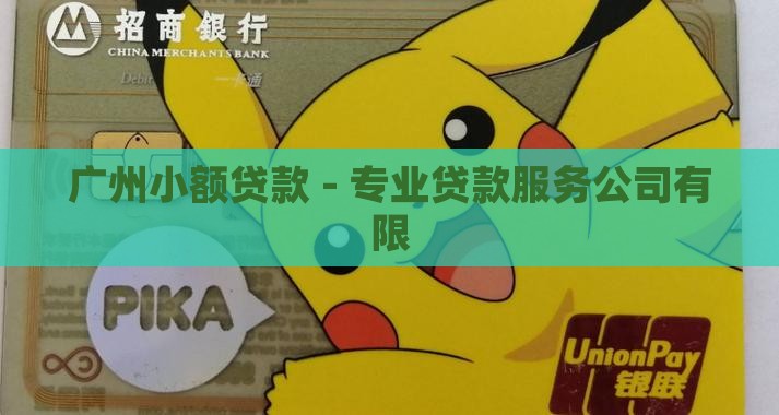 广州小额贷款 - 专业贷款服务公司有限