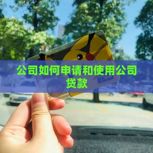 公司如何申请和使用公司贷款