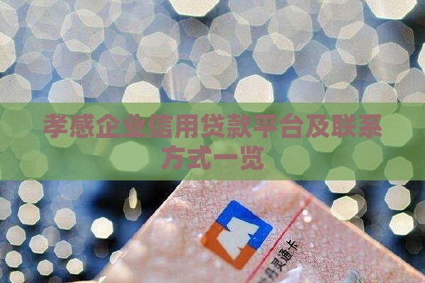 孝感企业信用贷款平台及联系方式一览